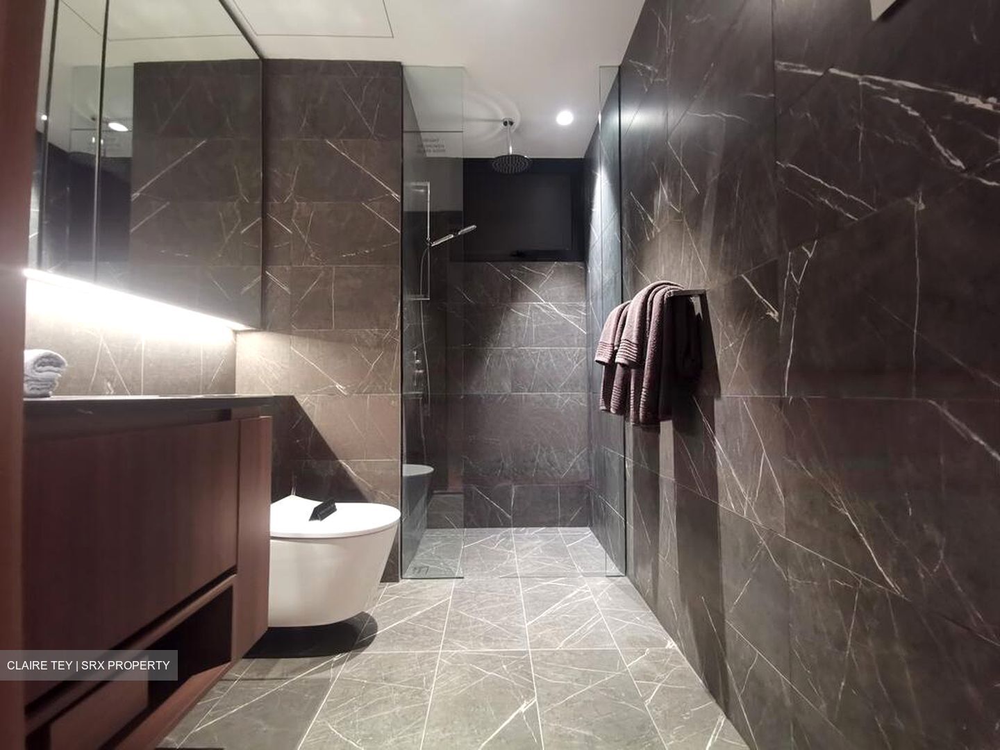 Kopar At Newton (D9), Apartment #480978411